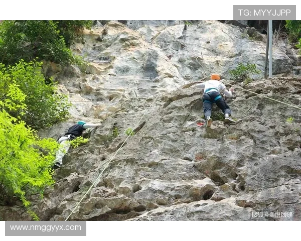 广州攀岩队团队协作引发热议背后的争议与思考