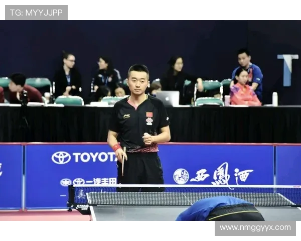 杭州羽毛球队在洲际杯中的节奏表现分析与评价